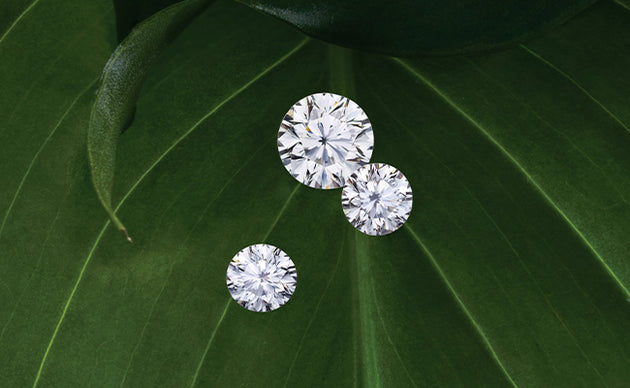 Service Jewelry and Repair